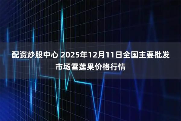 配资炒股中心 2025年12月11日全国主要批发市场雪莲果价格行情