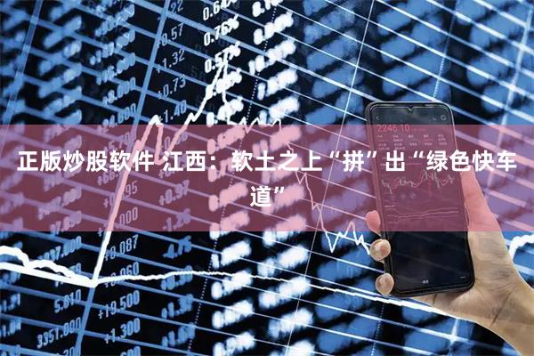 正版炒股软件 江西:软土之上“拼”出“绿色快车道”