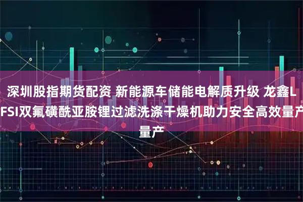 深圳股指期货配资 新能源车储能电解质升级 龙鑫LiFSI双氟磺酰亚胺锂过滤洗涤干燥机助力安全高效量产